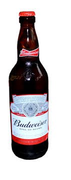 Budweiser beer